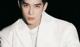 王安宇爆料澄清视频大全,揭秘真相背后的故事