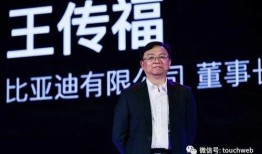 松散小雷爆料王传福视频儿子,儿子成焦点，揭秘比亚迪掌门人家庭生活